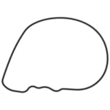 Wasserpumpendeckeldichtung Originalersatzteil 7347398