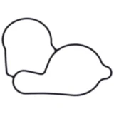 Wasserpumpendeckeldichtung Originalersatzteil für Motorräder 7347441