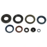 Wellendichtring Satz für Motoren 7347719