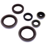 Wellendichtring Satz Athena passend für: Beta RR 7348100