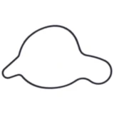 Dichtung Wasserpumpe Deckel Originalersatzteil passend für: Beta RR 7348355