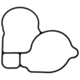 Wasserpumpe Deckel Dichtung für On- und Offroad Motorräder