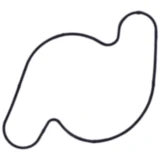 Wasserpumpe Dichtung für Motorräder