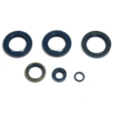 Wellendichtring Satz für Motoren 7355712