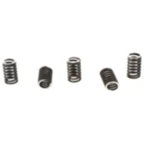 Kupplungsfedern verstärkt TRW Inhalt 5 Stück passend für: Suzuki GZ, GN