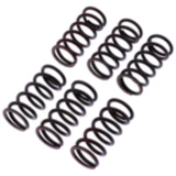 Kupplungsfedern verstärkt TRW Inhalt 6 Stück passend für: Kawasaki ZX - 10R