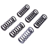 Kupplungsfedern verstärkt TRW 6 Stück 7380526