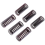 Kupplungsfedern verstärkt TRW Inhalt 6 Stück passend für: Ducati Scrambler, Monster, Hypermotard