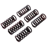 Kupplungsfeder-Kit verstärkt TRW für Motorräder 7380655