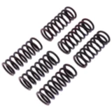 Kupplungsfedern verstärkt TRW Inhalt 6 Stück passend für: Aprilia Tuono, RSV4