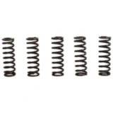 Kupplungsfedern verstärkt TRW Inhalt 5 Stück passend für: Honda CBF, CB, CBR