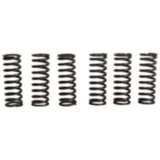 Kupplungsfedern verstärkt TRW 6 Stück
