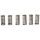 Kupplungsfedern verstärkt TRW Inhalt 6 Stück passend für: BMW F 650, Aprilia Pegaso, RSV, ETV