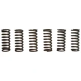 Kupplungsfedern verstärkt TRW Inhalt 6 Stück passend für: Kawasaki ZZR, GPZ