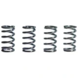 Kupplungsfedern verstärkt TRW Inhalt 4 Stück passend für: Honda TRX, CR, CB