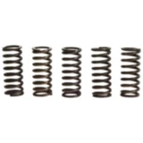 Kupplungsfedern verstärkt TRW Inhalt 5 Stück passend für: Triumph Sprint, Tiger, Speed Triple