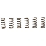 Kupplungsfedern verstärkt TRW Inhalt 6 Stück passend für: Kawasaki ZRX, ZR, ZX - 9R