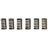 Kupplungsfedern verstärkt TRW Inhalt 6 Stück passend für: Honda CX, CG, NX, XR