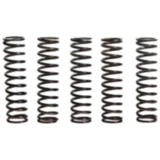 Kupplungsfedern verstärkt TRW Inhalt 5 Stück Alternative: 7450083 passend für: Kawasaki Z, ZX - 9R
