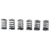 Kupplungsfeder-Kit verstärkt EBC (6 Stück) 7450077