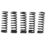 Kupplungsfedern verstärkt EBC Inhalt 5 Stück passend für: Kawasaki ZZR