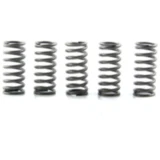 Kupplungsfedern verstärkt EBC Inhalt 5 Stück passend für: KTM EXC