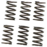 EBC verstärkte Kupplungsfedern Set 6 Stück
