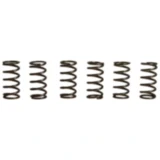Kupplungsfedern verstärkt EBC Inhalt 6 Stück passend für: Kawasaki ZX - 6R