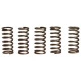 Kupplungsfedern verstärkt EBC Inhalt 5 Stück passend für: Triumph Street Triple, Tiger, Daytona