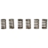 Kupplungsfeder-Kit verstärkt EBC (6 Stück)