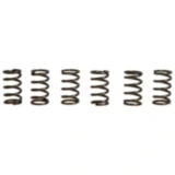 Kupplungsfedern verstärkt für Motorräder EBC