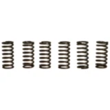 Kupplungsfedern verstärkt EBC Kit für Motorräder