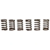 Kupplungsfedern verstärkt EBC Inhalt 6 Stück passend für: Kawasaki GTR, ZZR, ZRX