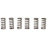 Kupplungsfedern verstärkt EBC Inhalt 6 Stück passend für: Kawasaki ZRX, ZX - 7RR, ZR