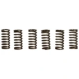 Kupplungsfedern verstärkt EBC Inhalt 6 Stück passend für: Kawasaki ZX - 10R, Z, ZX - 10RR