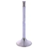 Auslassventil Siebenrock passend für: BMW R 7471344