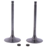 Einlassventil Satz Originalersatzteil passend für: BMW G