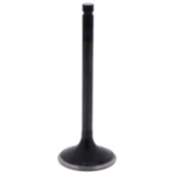 Einlassventil OE Ersatzteil 7471702