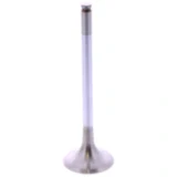 Auslassventil Originalersatzteil passend für: Beta RR