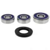 Radlagersatz komplett von All Balls Racing mit Dichtungen