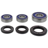 Radlagersatz und Wellendichtring von All Balls Racing