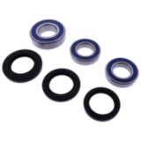 Radlagersatz komplett All Balls Racing mit Wellendichtring