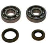 Kurbelwellenlager Satz All Balls Racing mit Wellendichtring passend für: Gas Gas EC, MC
