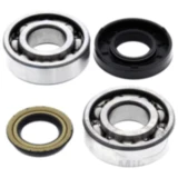 Kurbelwellenlager Satz All Balls Racing mit Wellendichtring passend für: Polaris Predator, Sportsman
