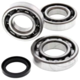 Kurbelwellenlager Satz All Balls Racing mit Wellendichtring passend für: Polaris Trail Boss, Magnum, Trail Blazer