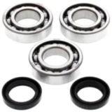Kurbelwellenlager Satz All Balls Racing mit Wellendichtring passend für: Polaris Trail Blazer