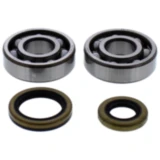 Kurbelwellenlager Satz All Balls Racing mit Wellendichtring passend für: Gas Gas EC 7562461