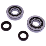 Kurbelwellenlager Satz Athena mit Wellendichtring passend für: Piaggio Free, Zip, NRG