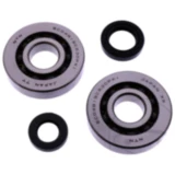 Kurbelwellenlager Satz Athena mit Wellendichtring passend für: Daelim SJ