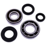 Kurbelwellenlager Satz Athena mit Wellendichtring passend für: Pegasus Sky, Corona, R